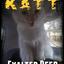 Katt (Exalted Beer)